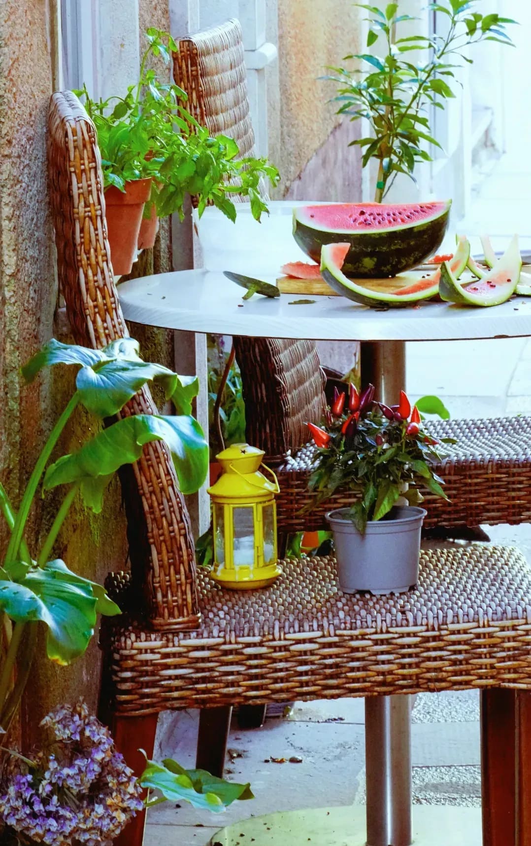植栽・植え替え